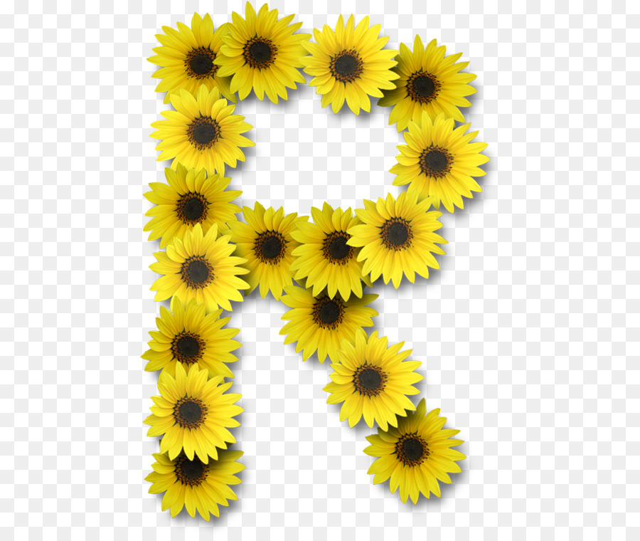 Common sunflower Buchstaben Alphabet - Blume