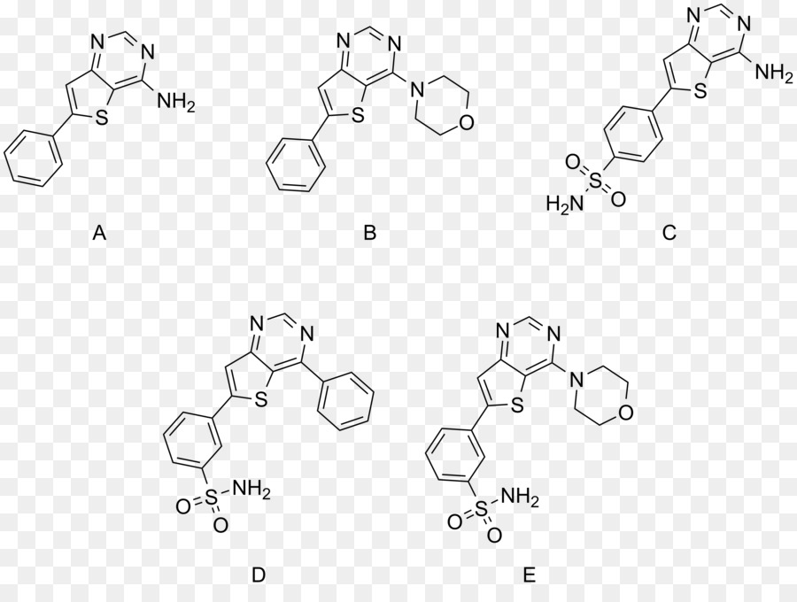 Buchwald-Hartwig-Aminierung Ligand Phosphin XPhos Sonogashira-Kupplung - Malaria