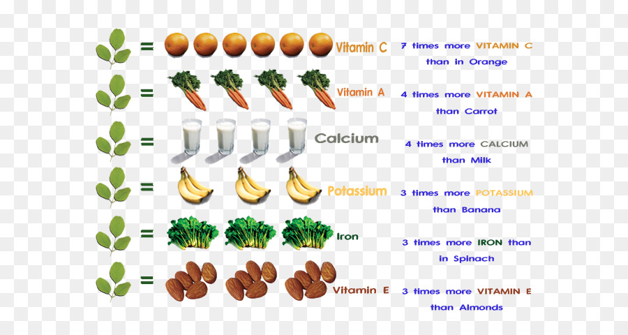 Nährstoff Drumstick tree Nutrition facts label Vitamin - essbare Samen