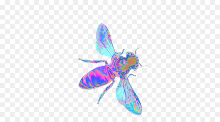 Butterfly westliche Honigbiene Insekt Bienenstock - Schmetterling