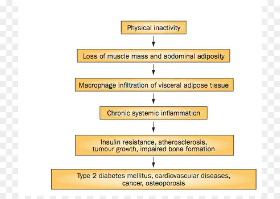 Diabetes-mellitus-Typ-2-Übung Herz-Kreislauf-Erkrankungen Adipositas - Körperliche Aktivität