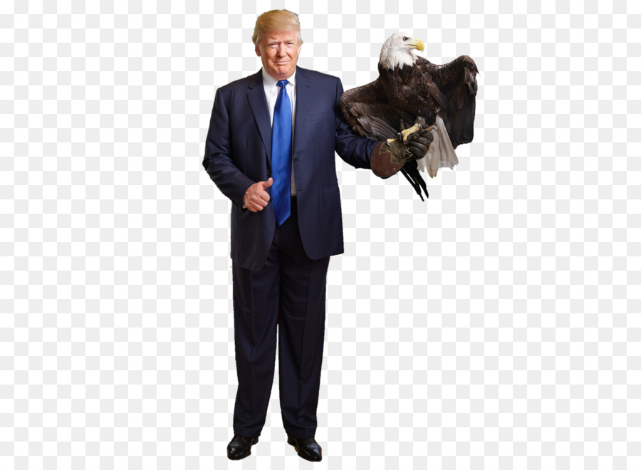 L'Aquila calva Casa Bianca il Presidente degli Stati Uniti Donald Trump campagna presidenziale, 2016 - aquila