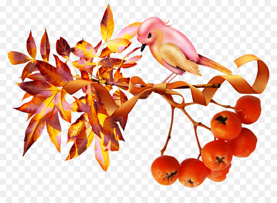 Autumn Auglis Isba Lesesaal Berry Acorn - Herbst