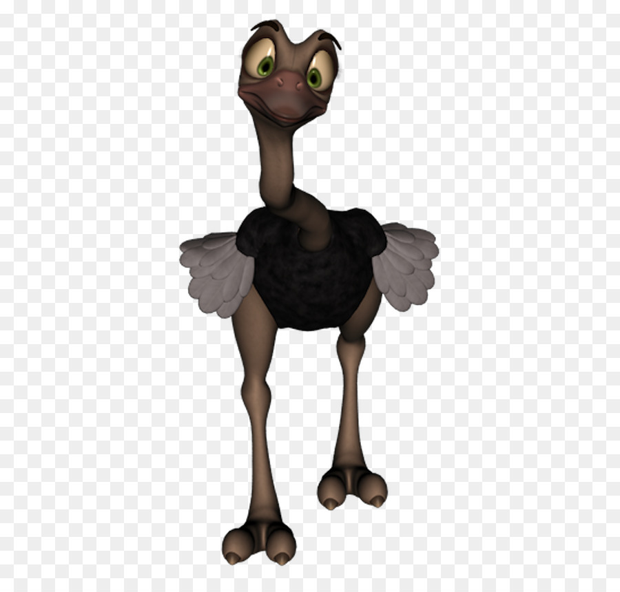 Häufige Strauß Emu Vogel Schnabel Hals - Vogel
