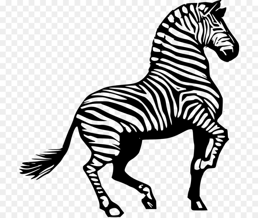 Scarica Nero Zebra Clip art - altri