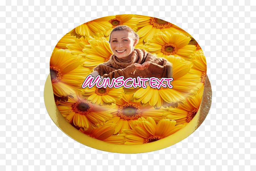 sunflower m - Gerbera