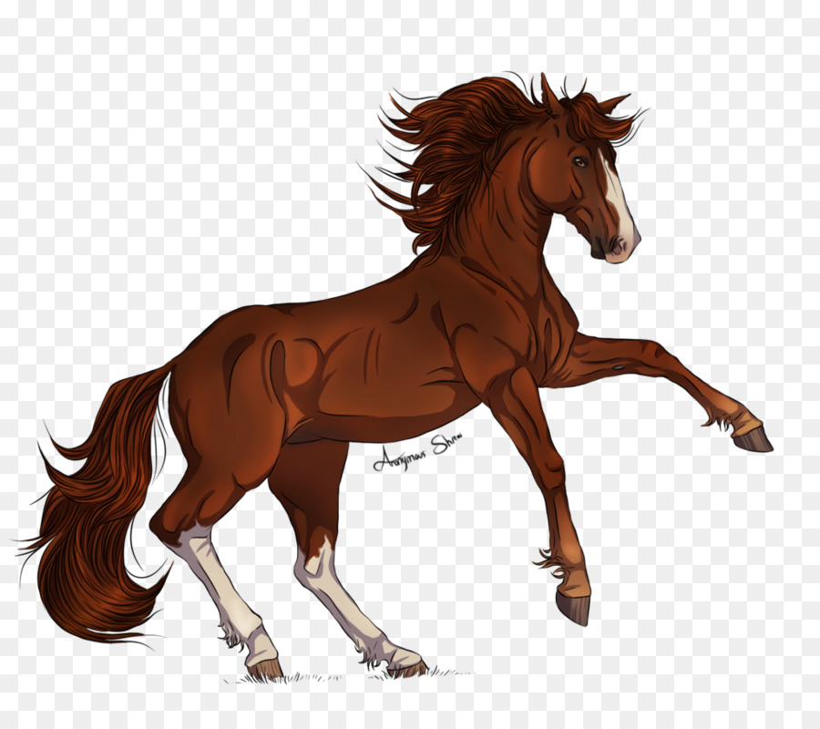 Bờm Mustang Ngựa Con Ngựa Colt - mustang