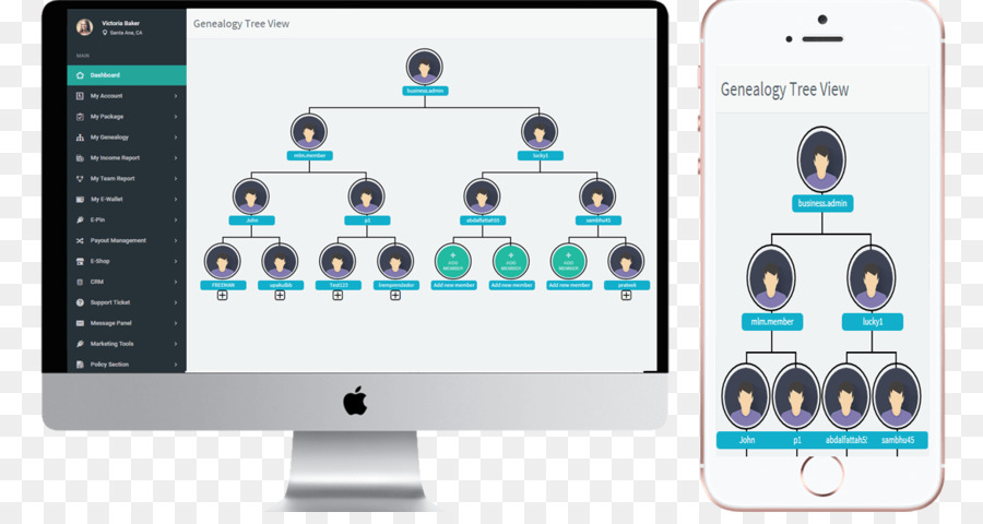 Genealogia-albero genealogico struttura ad Albero Computer Software - mlm