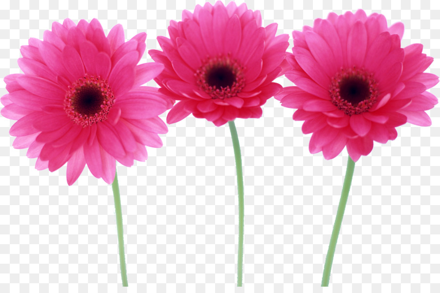 Flowers Clipart Background
