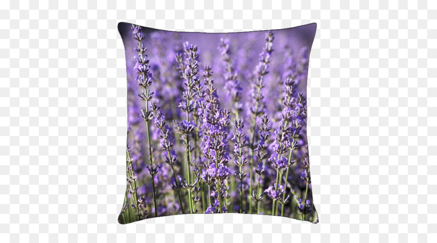 Englisch Lavendel Kissen Polster Garten - lavendel