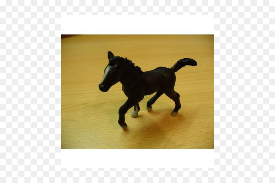 Mustang Ngựa Con Ngựa Mare Dây - mustang