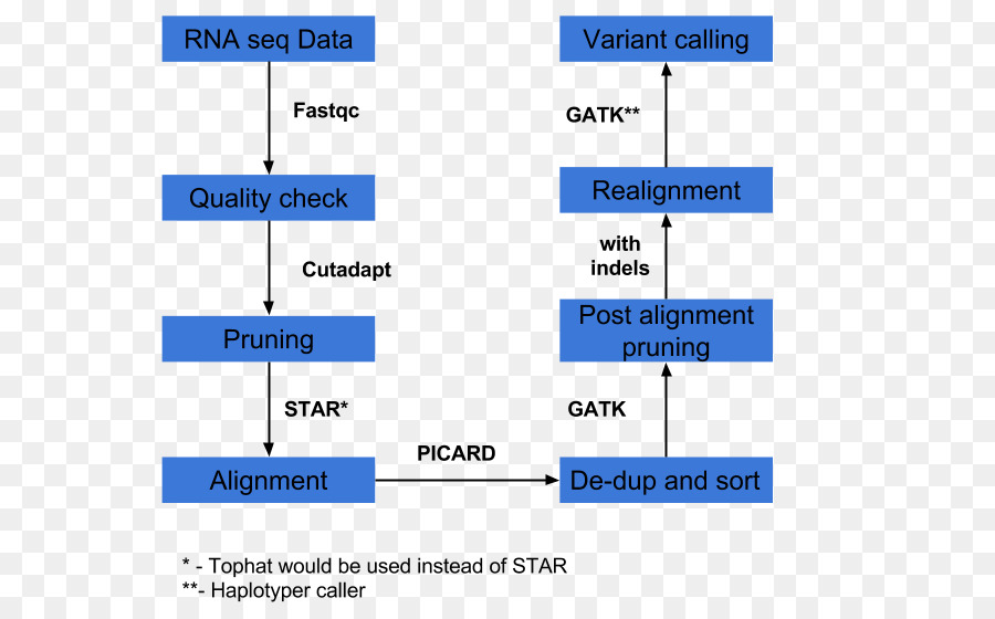 RNA Seq Transkriptom Sequenzierung TopHat - Ausdruck Paket