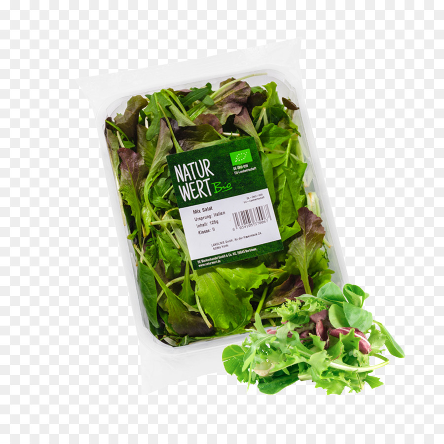 Romaine lettuce Organic food Caesar salad Bildtafel Obst und Gemüse - Salat