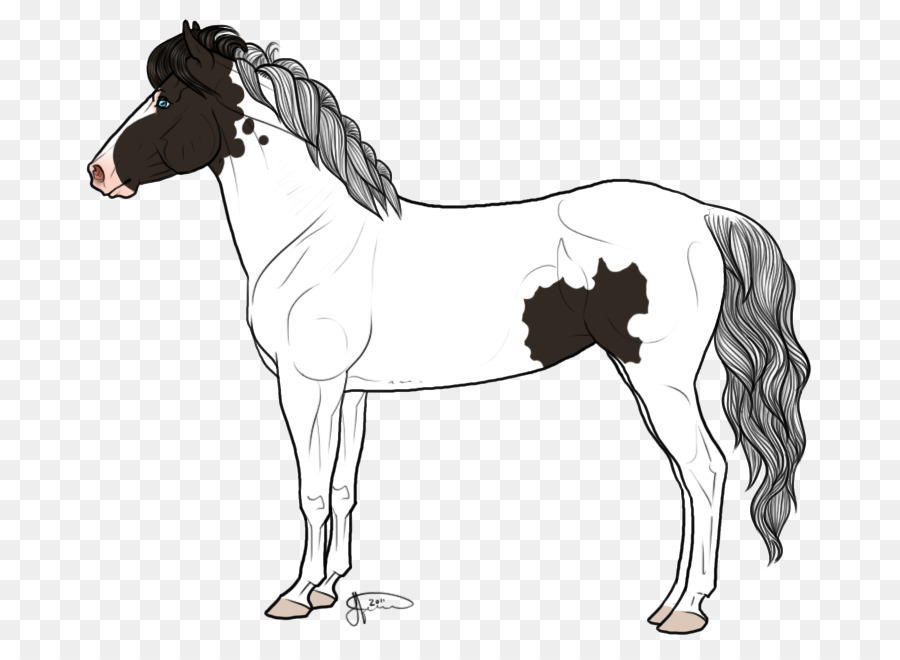Con ngựa Ngựa Mustang Stallion - mustang