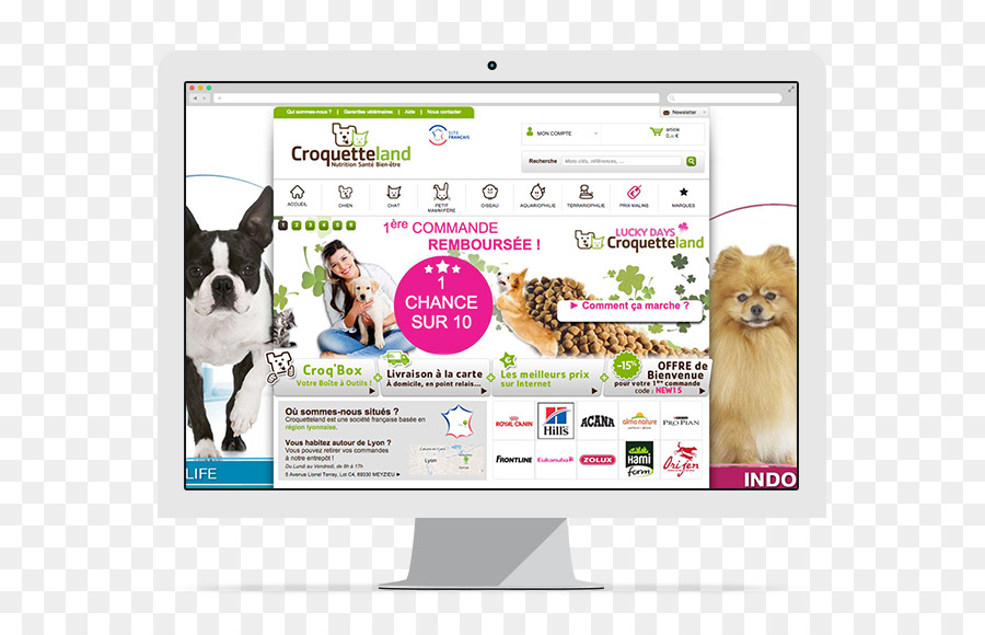 Hund-Display-Werbung Marken-Multimedia - Hund