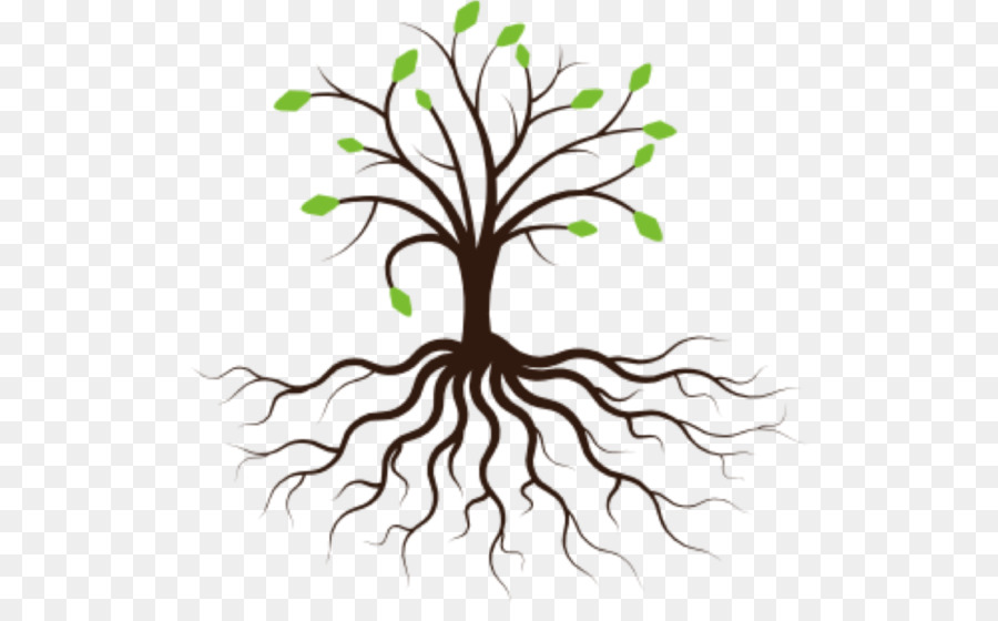 Tree Root