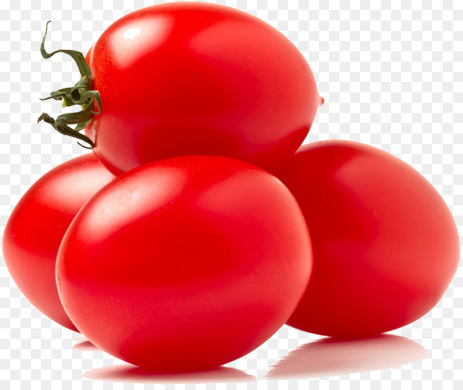 Mai, cà chua chua Bụi cây đậu Nướng món ý cà chua - bán