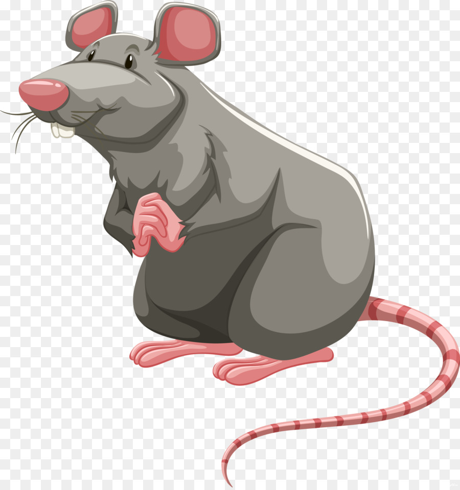 Labor Ratte Braunen Ratte Nagetier clipart - Ratte cartoon