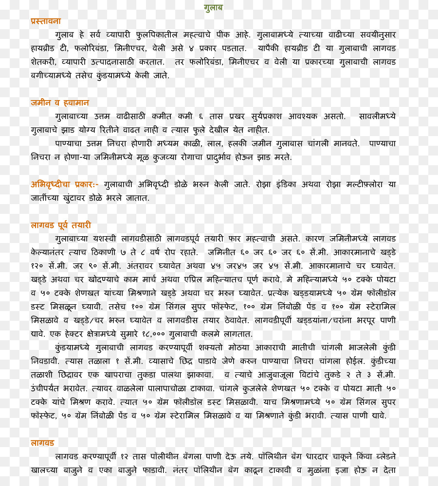Documento Linea Hindi Lettera - linea