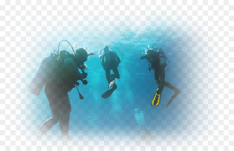 Immersioni a Marsa Alam, Hurghada, muta Subacquea, immersioni subacquee - immersioni subacquee