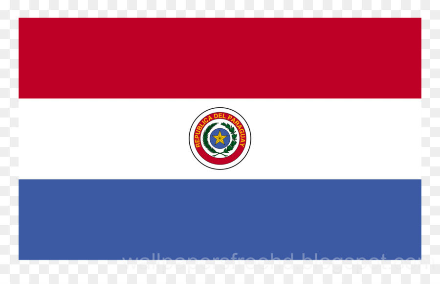 Flagge von Paraguay Ciudad del Este National Flagge USA - Flagge