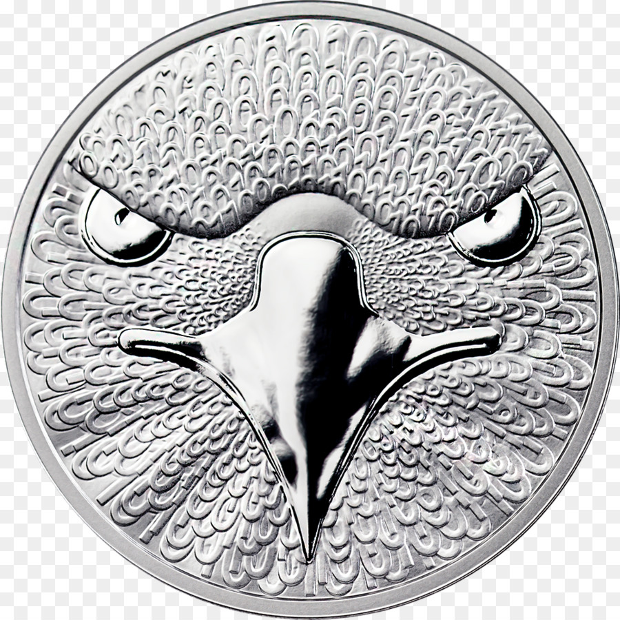 Moneta d'argento di Bitcoin sistema di Pagamento - argento