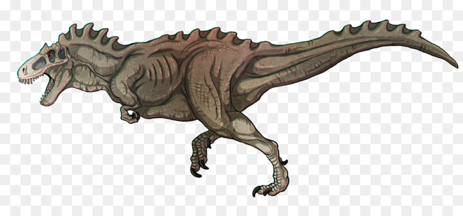 Tyrannosaurus Albertosaurus Dilong Teratophoneus Pachyrhinosaurus - grazie per i 1000 likes