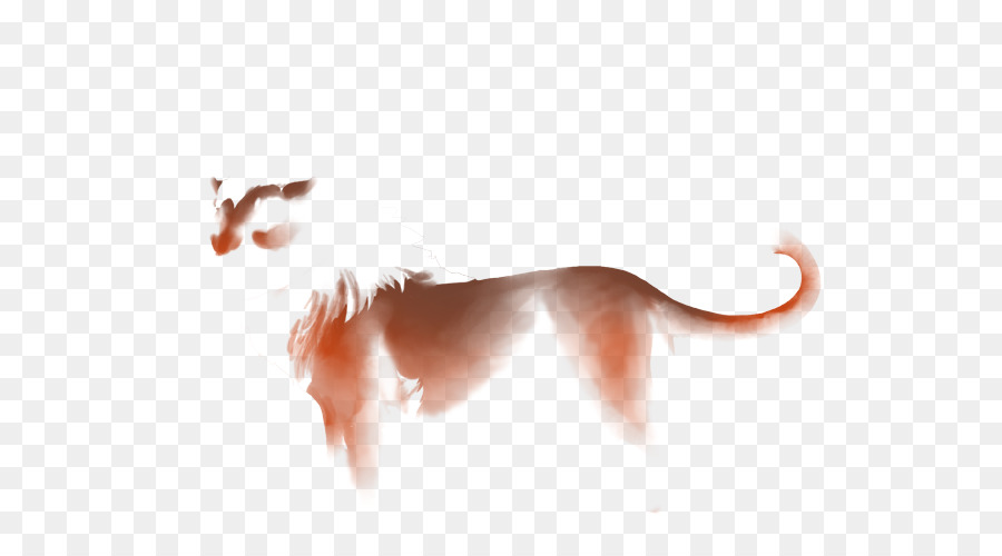 Katze Grau wolf-Desktop Wallpaper Leopard Tail - Katze