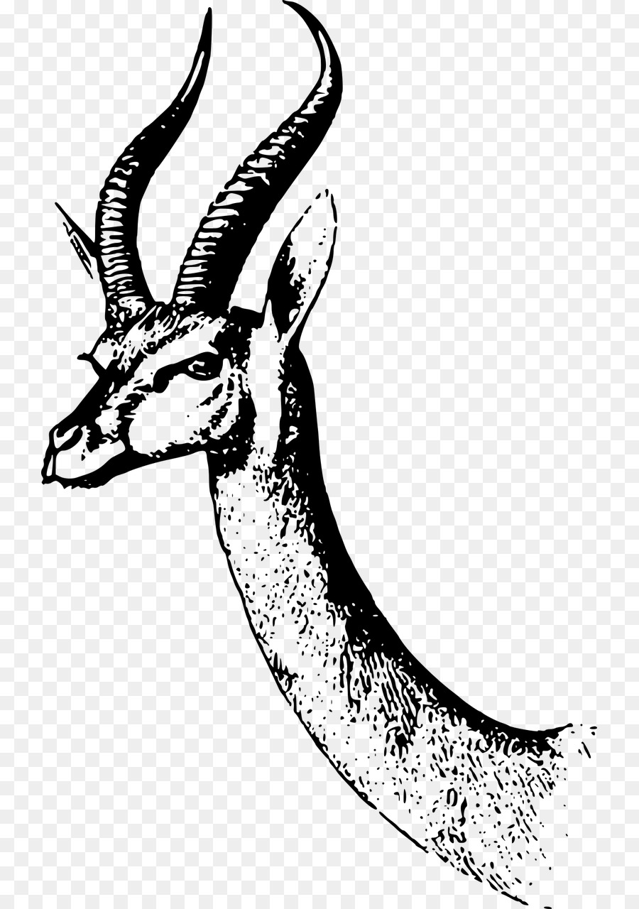 Antilope Dama gazelle Clip art - Gazelle
