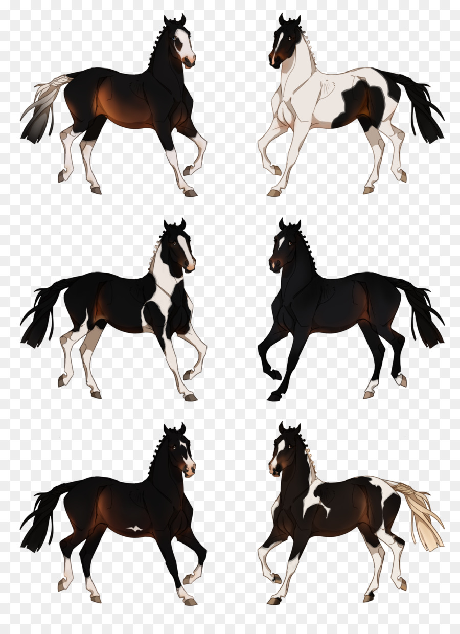 Mustang Stallone Mare Cavallo Tack branco di animali - mustang
