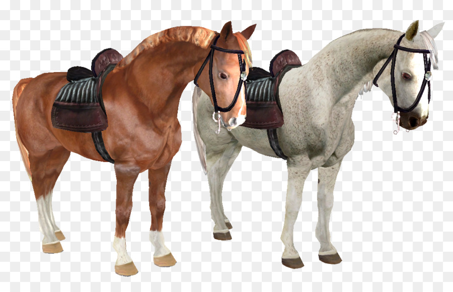 Stallion lãng Quên Săn chỗ Ngựa Các quyền riêng tư - Con ngựa
