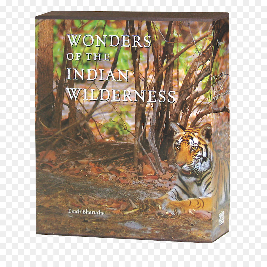 Tiger Wunder der indischen Wildnis Katze Fauna Bilderrahmen - Tiger