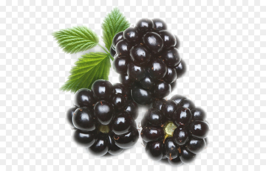 Blackberry alimenti Biologici Gummi candy Succo con richiami di more - Mora