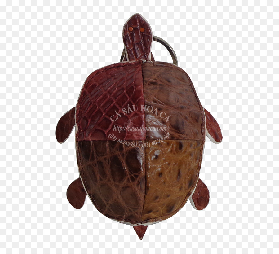 Tartaruga di Stagno tartarughe Marrone - strada