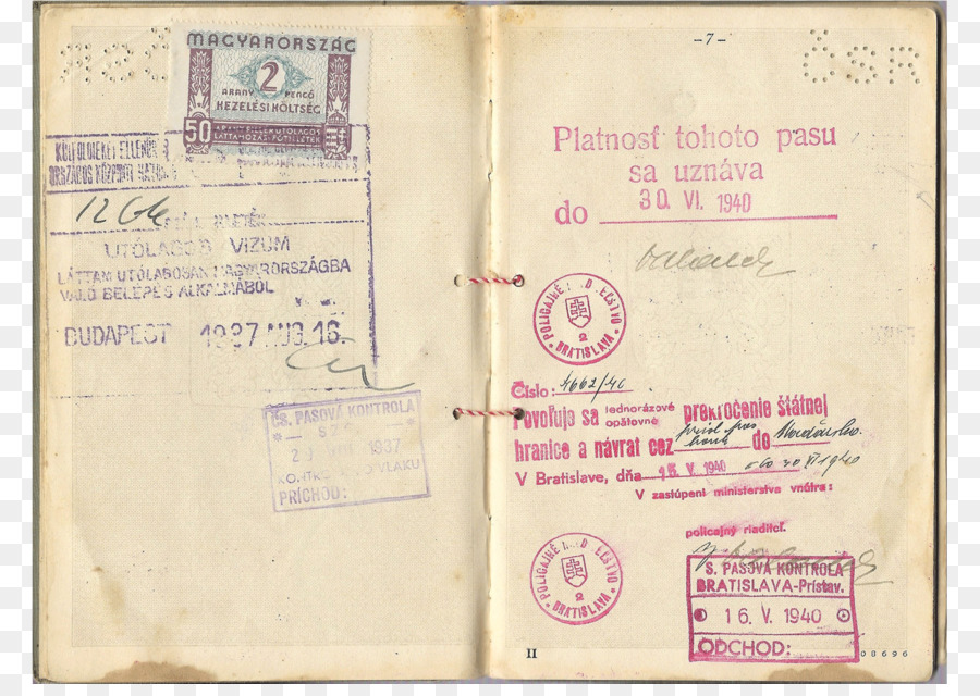 Passaporto di un documento di Identità Olocausto documento di Viaggio Seconda Guerra Mondiale - passaporto