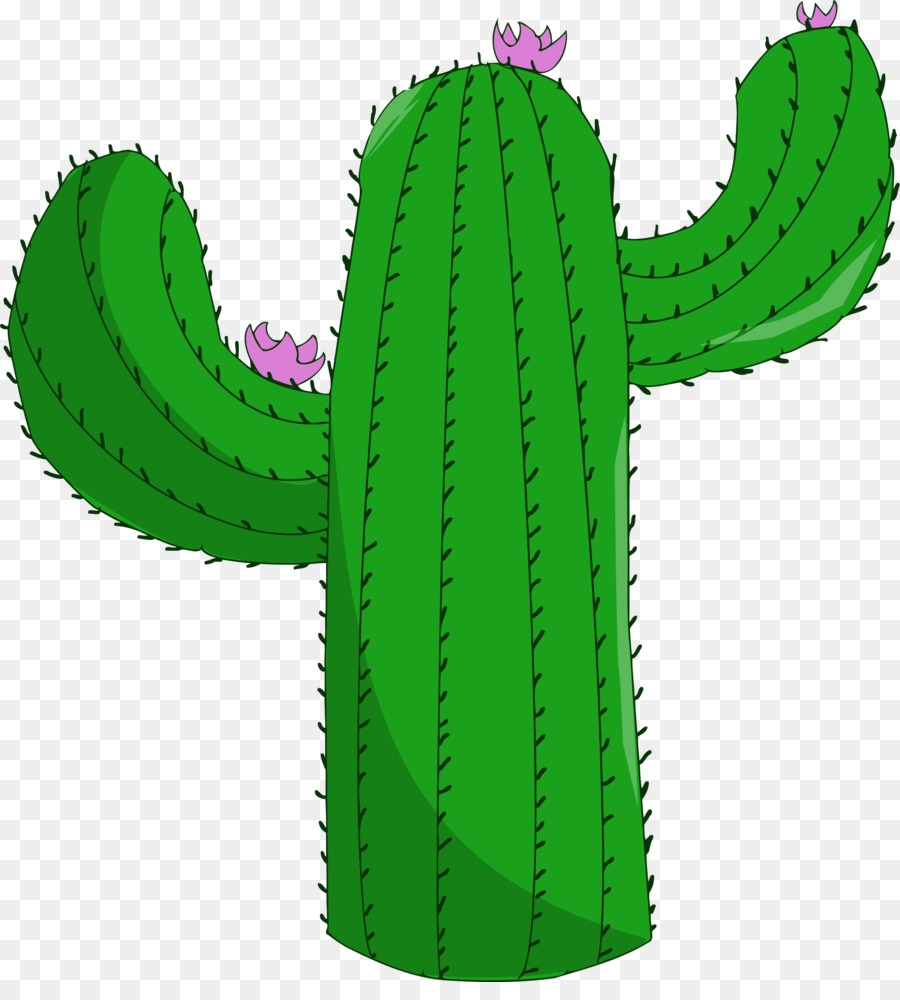 cactaceae - fiore di cactus