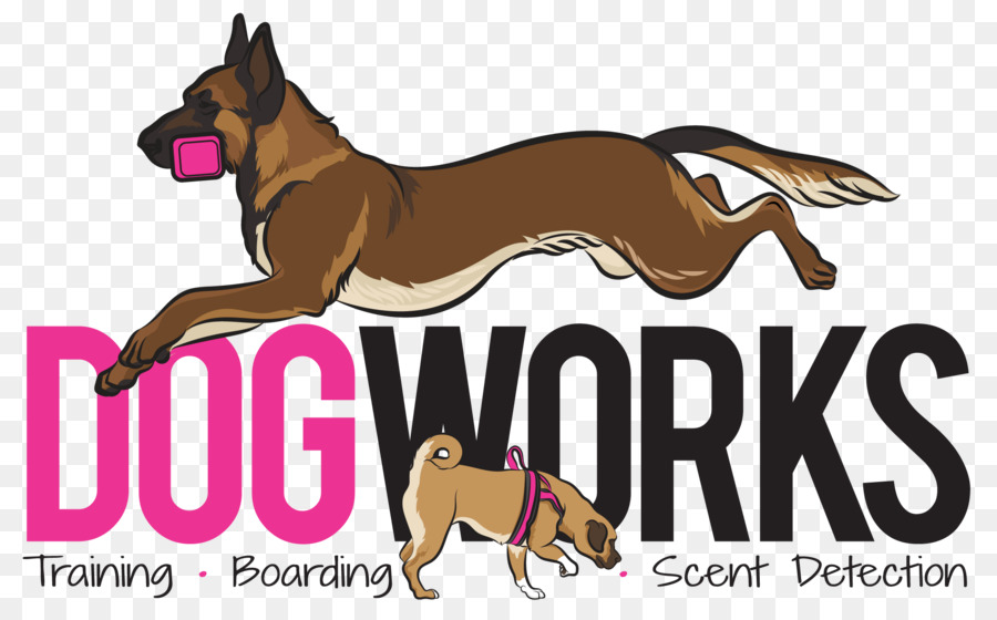 Giống chó Xích Đào tạo Nosework - Huấn luyện chó