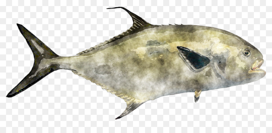 BUONA PESCA COSTIERA pittura ad Acquerello di mammiferi Marini biologia Marina - pesce acquerello