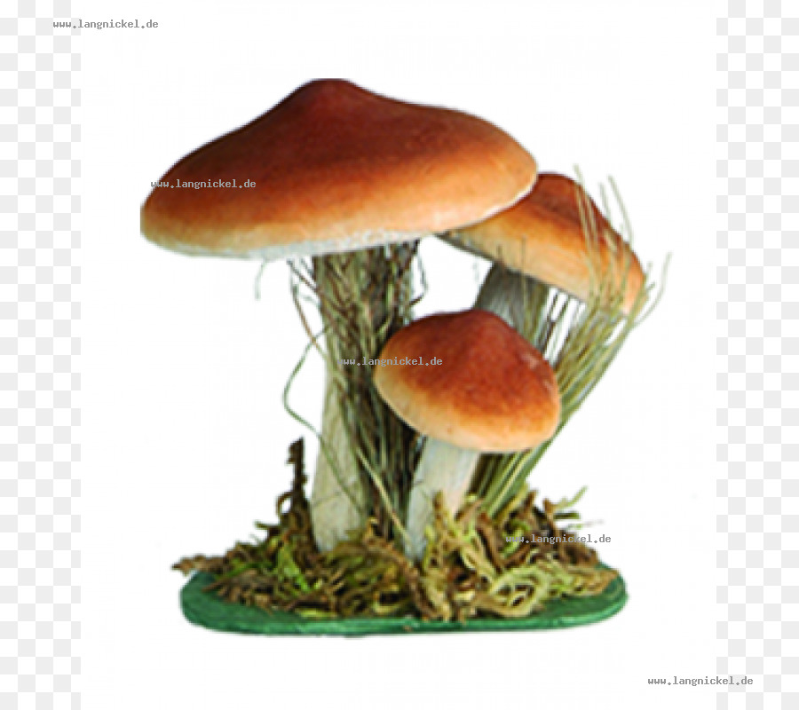Mushroom Cartoon