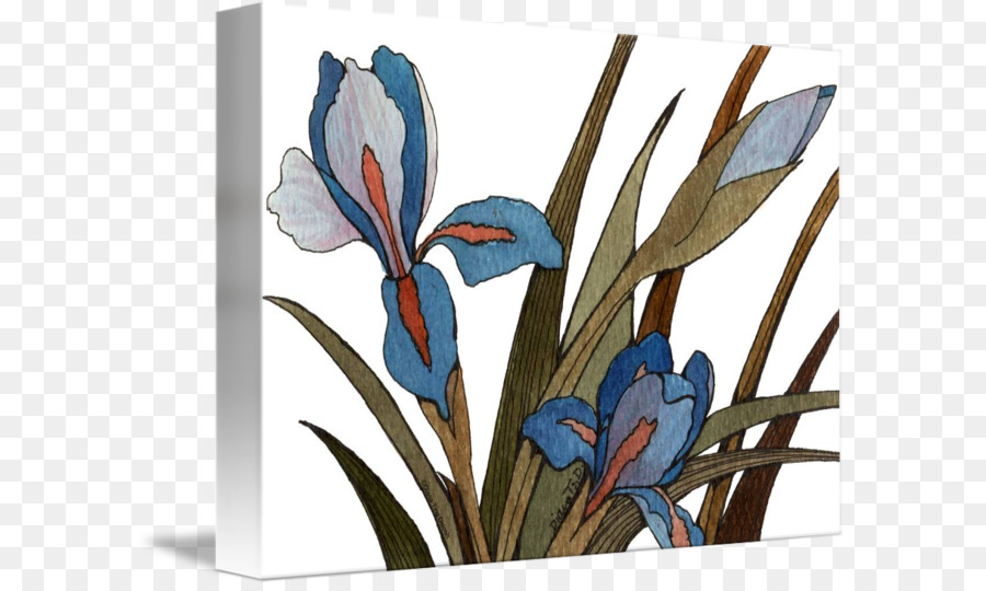Floral design Imagekind Kunst-Plakat - Aquarell iris