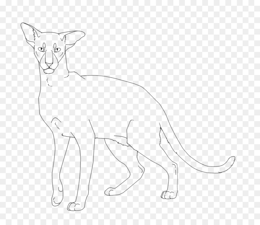 Schnurrhaare-Katze Lion Red fox Hund - Katze