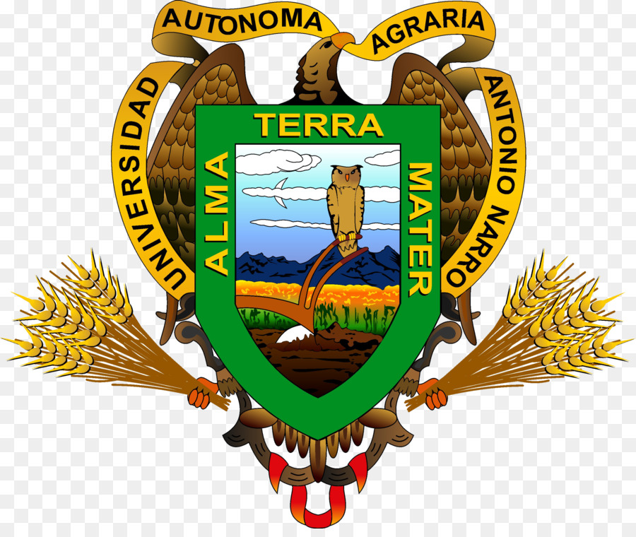Universidad Autónoma Agraria Antonio Narro Università Autonoma di Campeche Torre Meritorio Università Autonoma di Puebla - logo della mafia