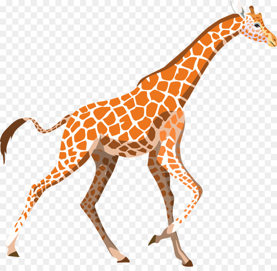 Sfondo per il Desktop del Nord giraffa Clip art - Tessuti africani