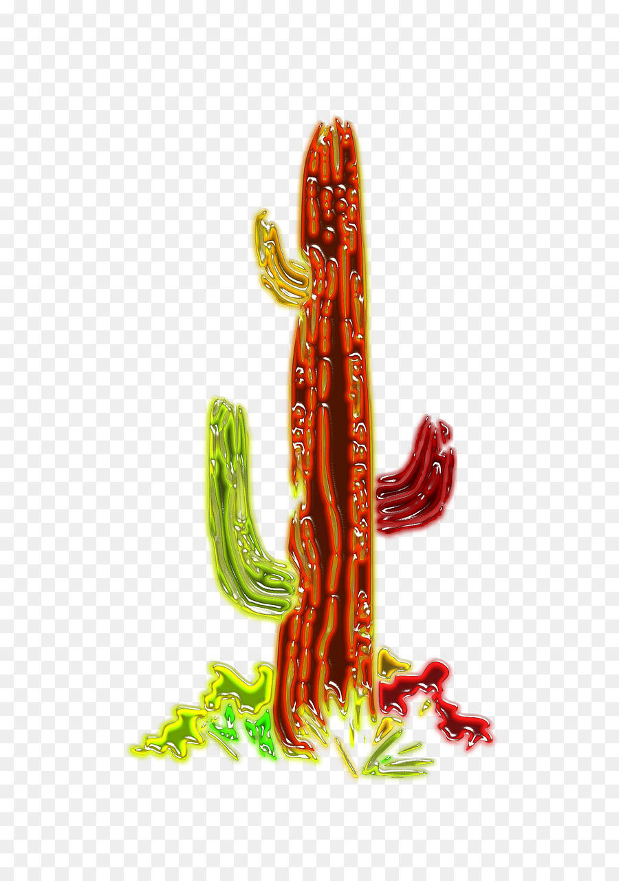 Cactaceae Pflanze Wüste - Anlage