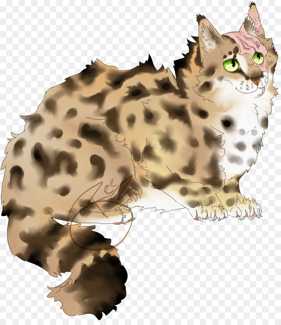 I baffi del gatto del Bengala Leopard Cheetah Muso - leopardo