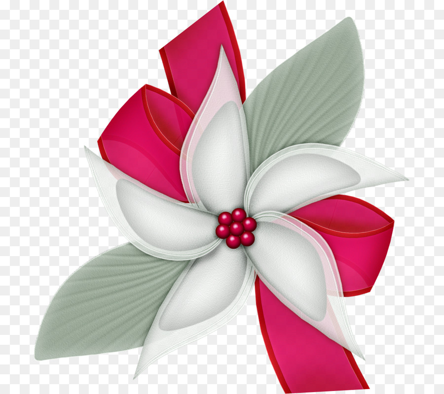 Blütenblatt Cut Blumen Pink M Blühende pflanze - Blume bow