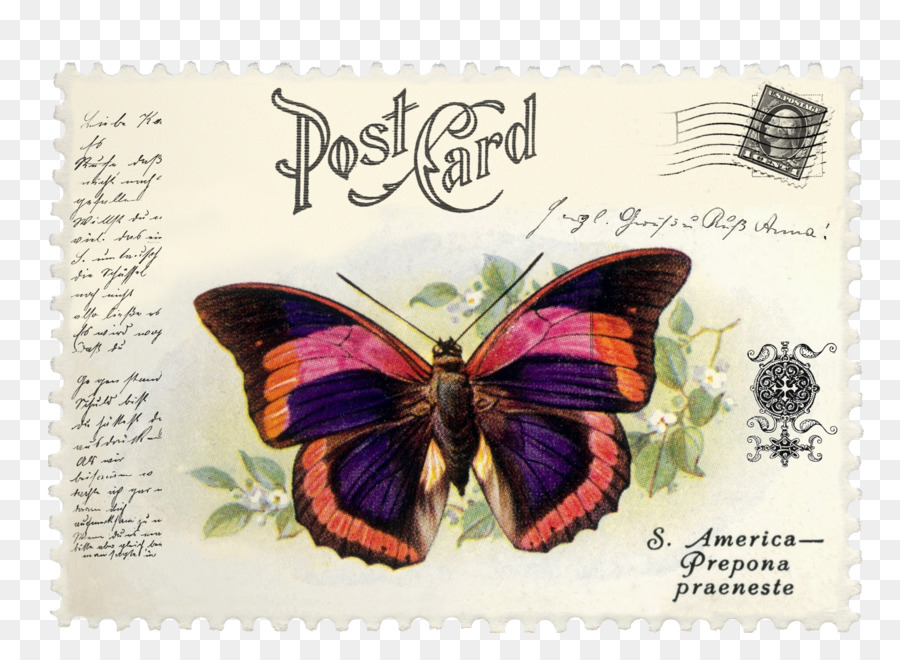 Pinsel footed Schmetterlinge, Briefmarken, E Mail Schmetterling Prepona praeneste - Schmetterling