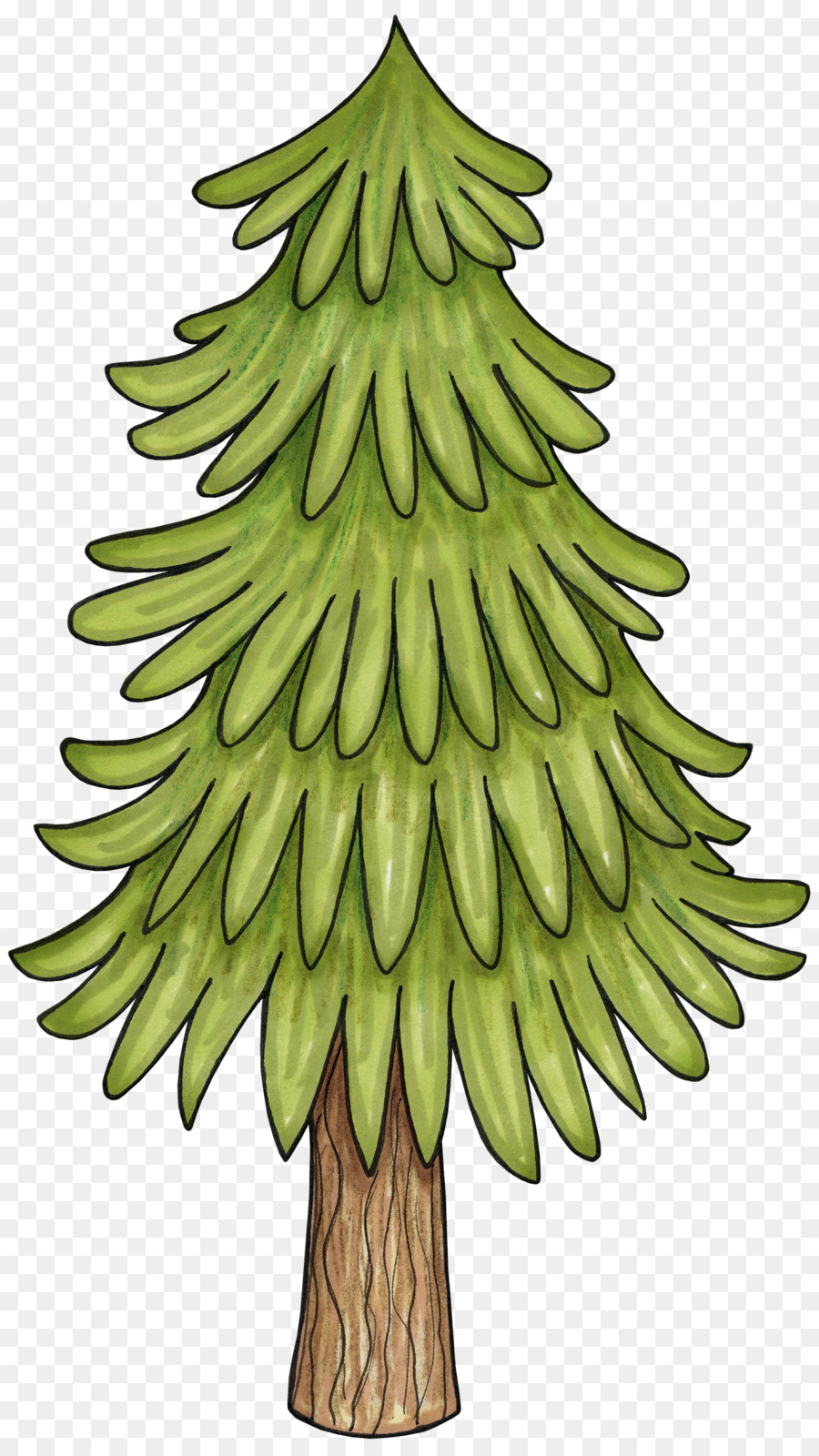 Madrean pine oak woodlands Baum Clip art - Zauberwald