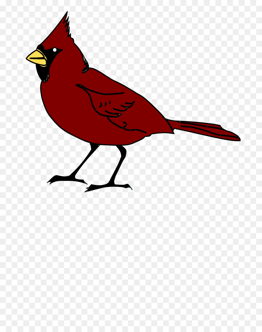 Dei St. Louis Cardinals, Clip art - uccello