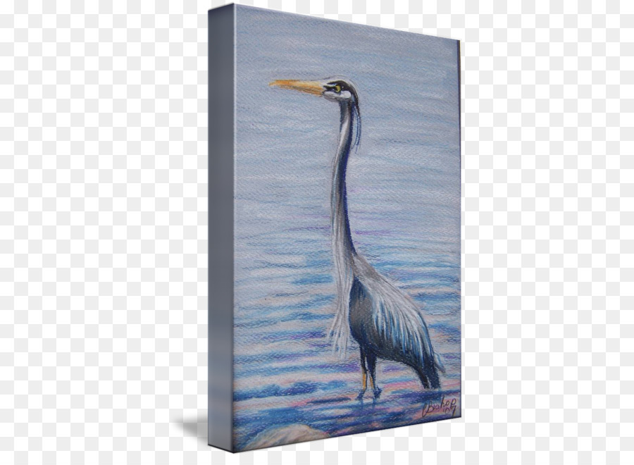 Heron Wasser Vogel Malerei Schnabel - blauer Reiher